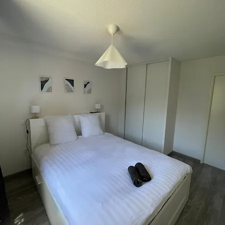 Coconing & Peaceful Apartment Toulouse