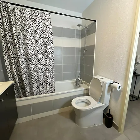 Coconing & Peaceful Apartment Toulouse